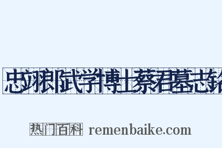 忠翊郎武学博士蔡君墓志铭是什么意思的图片